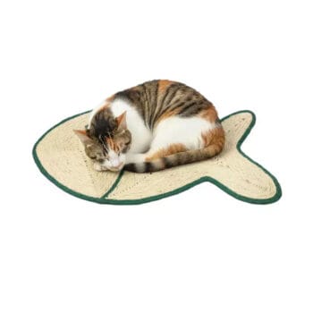 Mata drapak ryba dla kota