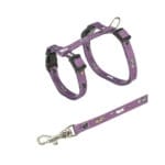 Trixie | Szelki ze smyczą dla kociąt JUNIOR | 21–33 cm/8 mm, 1.20 m - obrazek 2