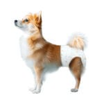 Nobleza | Pieluchy dla suczek M 44x31cm | 10szt. - obrazek 4